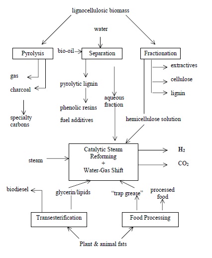 Hydrogen from Biomass